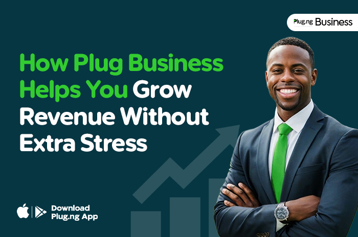 Picture illustrating: How Plug Business Helps You Grow Revenue Without Extra Stress