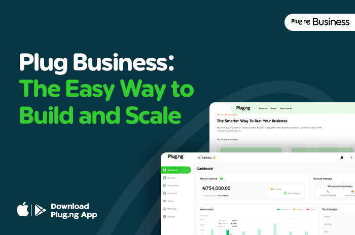 Write an alt text for this blog topic: Blog cover for plug businnee: The easy way to build and scale